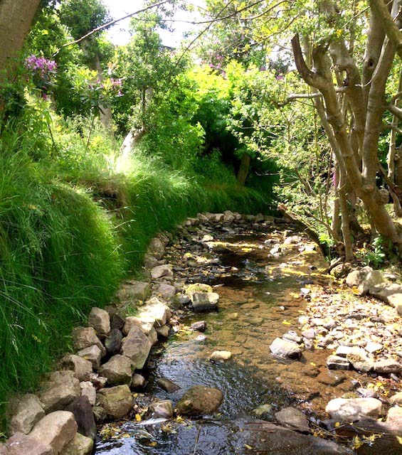 Erosion Control of Stream - Testimonial
