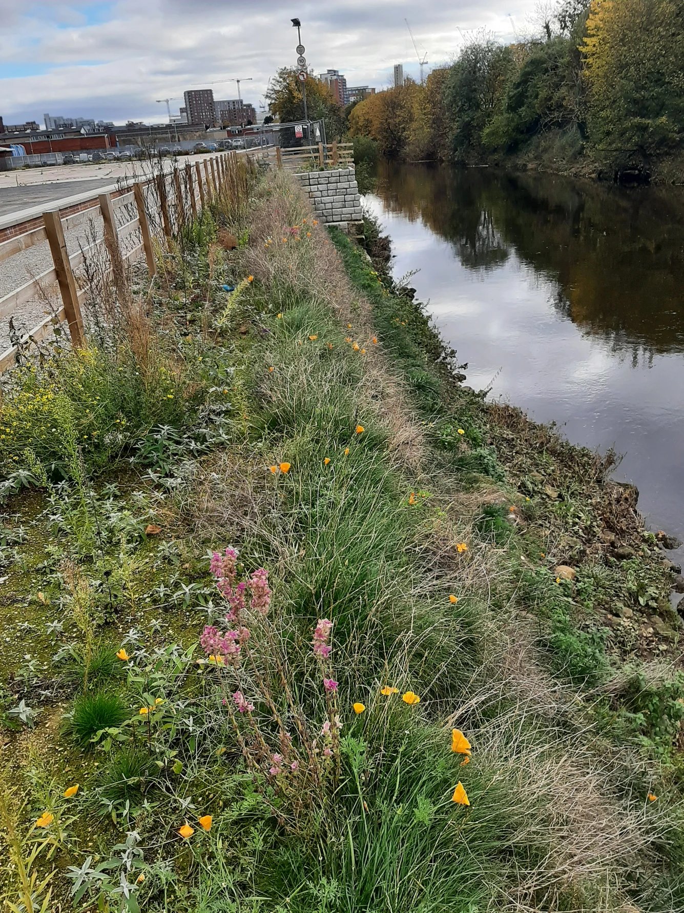 Leeds Flood Alleviation Scheme, Phase 2
