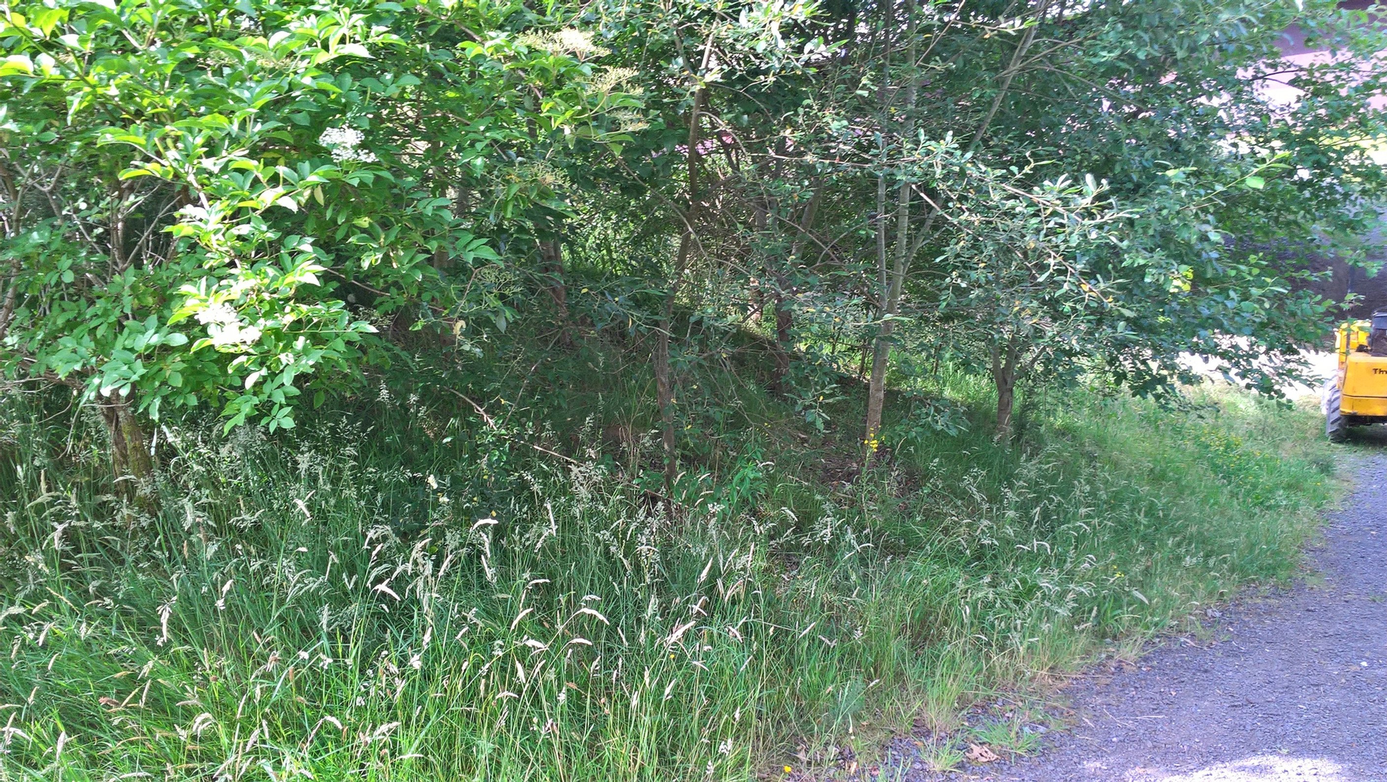 Footway Provision - A470 Cwmbach Bridleway