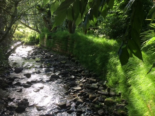 Erosion Control of Stream - Testimonial