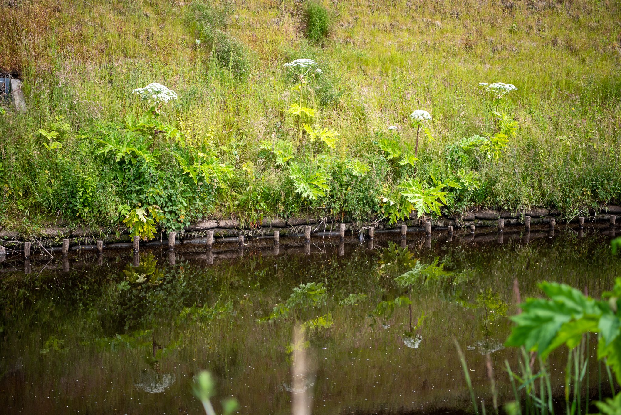 Pollok Park - White Cart Water - Glasgow