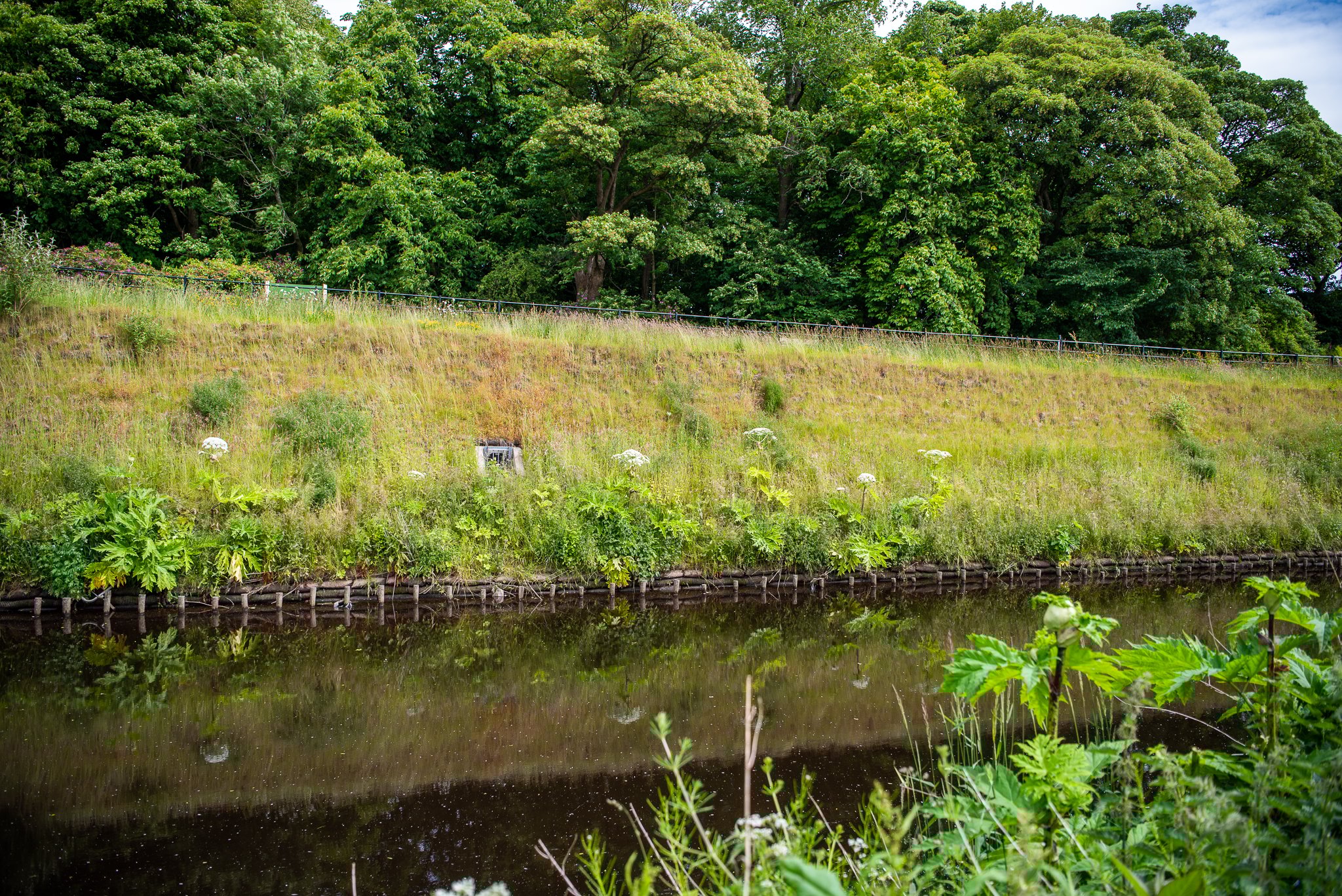 Pollok Park - White Cart Water - Glasgow