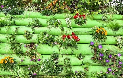 Rootlok_Plug_Planting