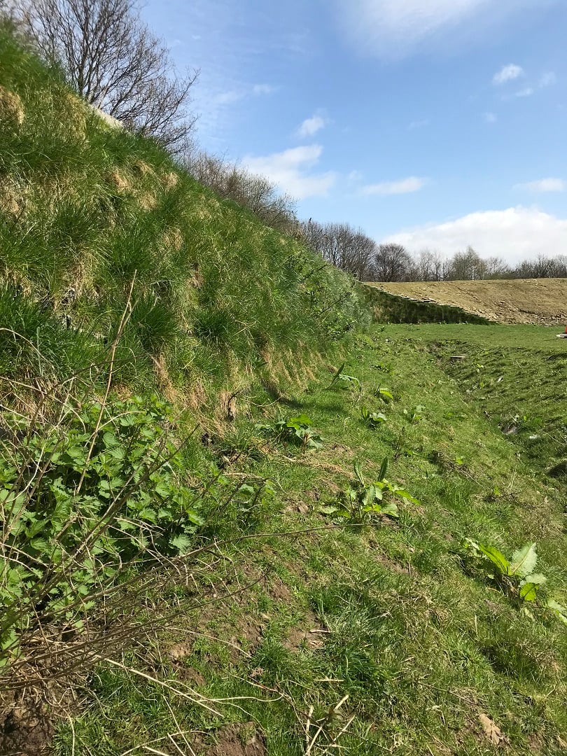 Erosion Control at Kings Business Park