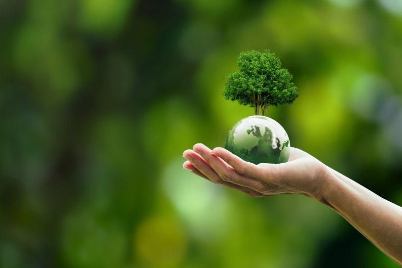A human hand holding a small green earth with a tree growing out of the top which represents achieveing net zero construction.