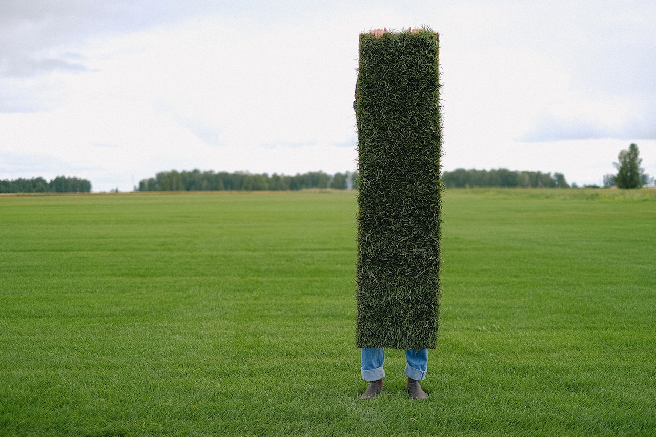Man standing in a luscious grass field showcasing the benefits of hydroseeding. 