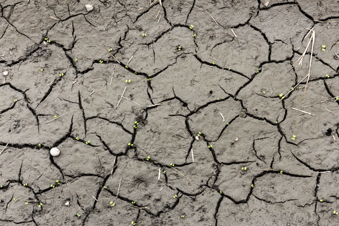 Public organisations made aware of the 4 main causes of soil erosion