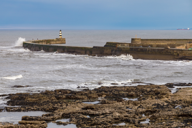 Public organisations witness coastal town amidst climate crisis and outline why erosion control is essential to combating this 