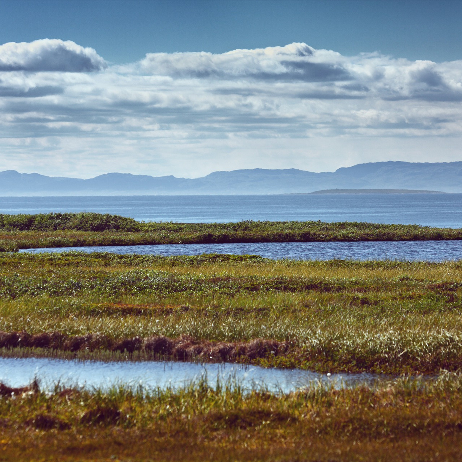 Wetland & Habitat Creation