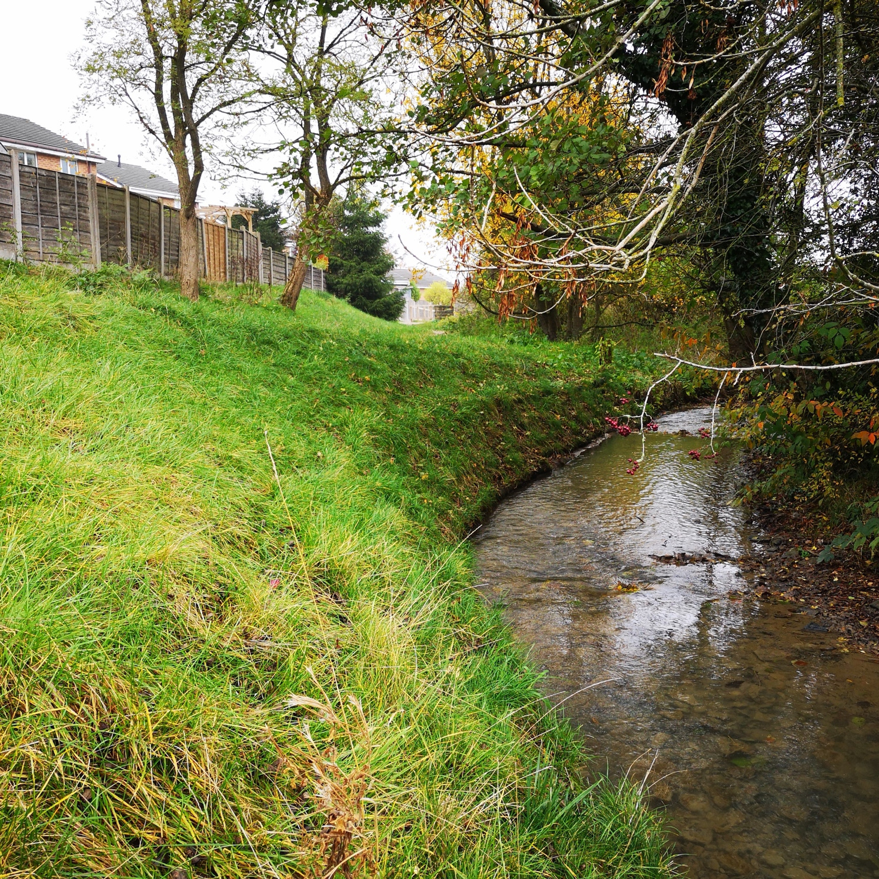 Erosion Control Systems