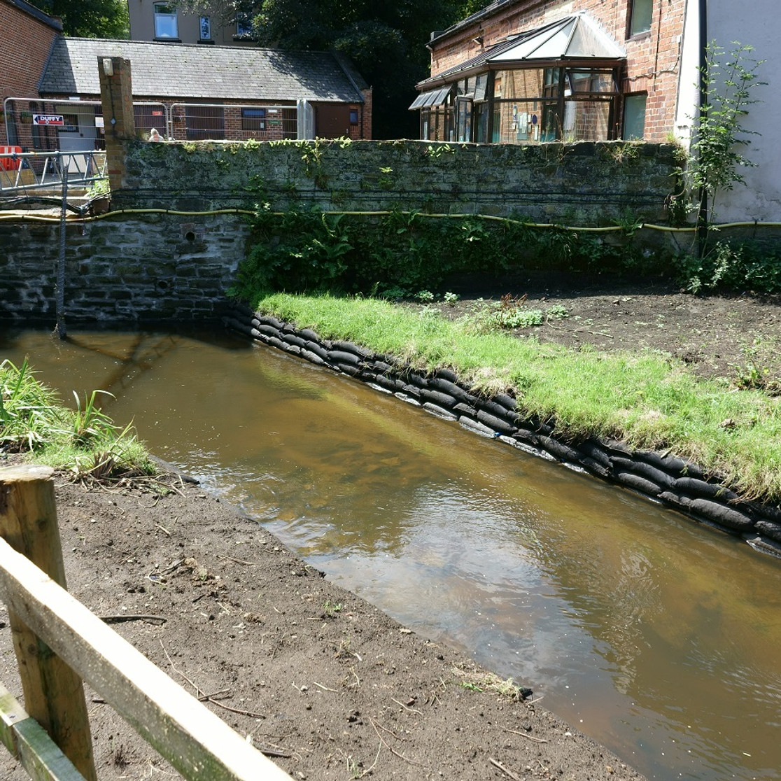 Wetland and Habitat