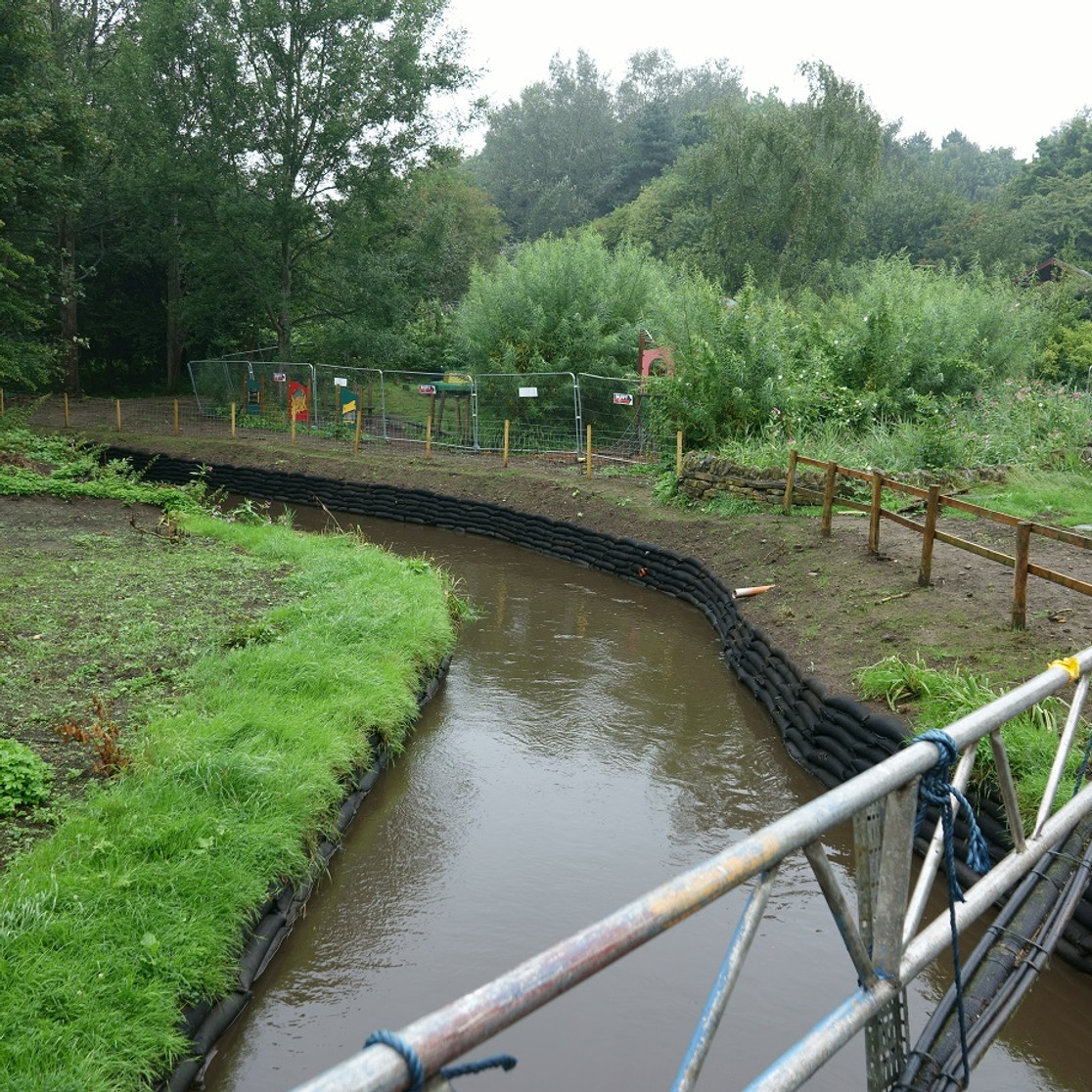 Wetland and Habitat