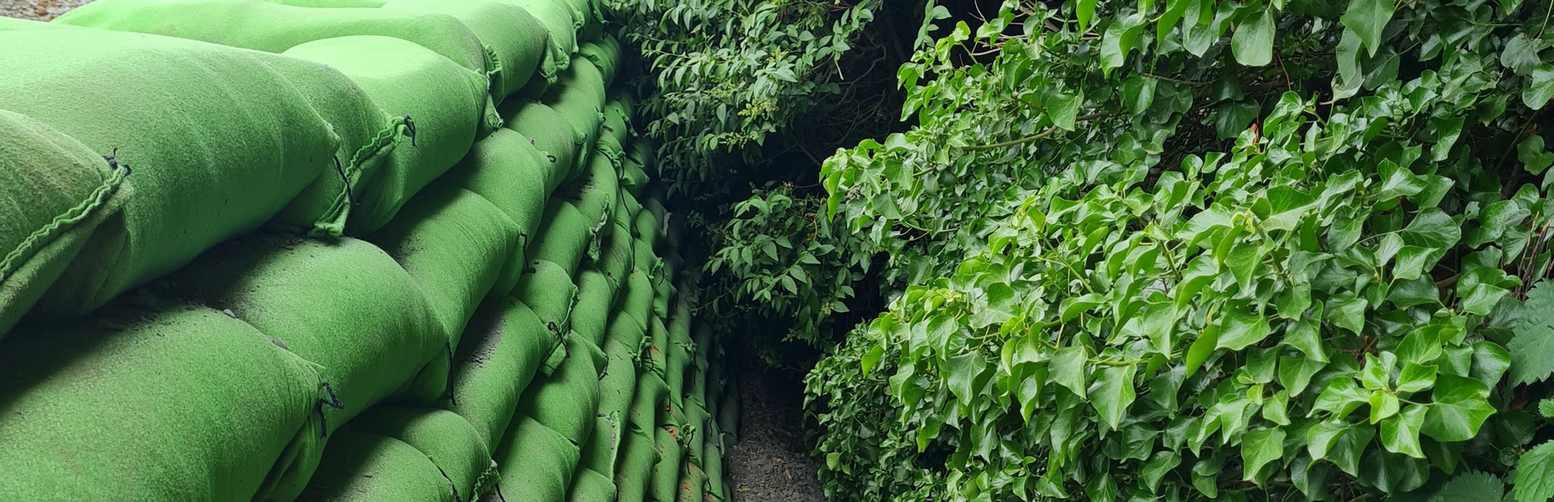 GeoGrow goes Green with Rootlok