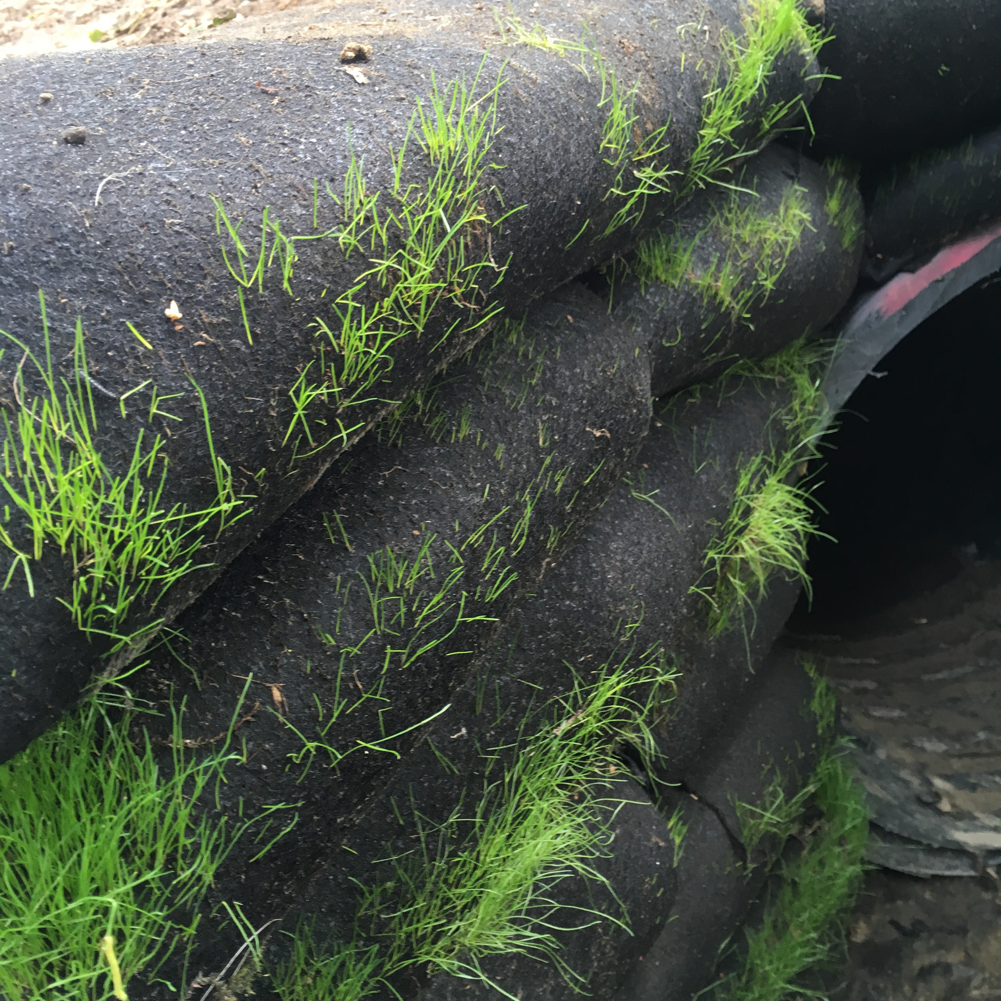 Headwalls Culverts