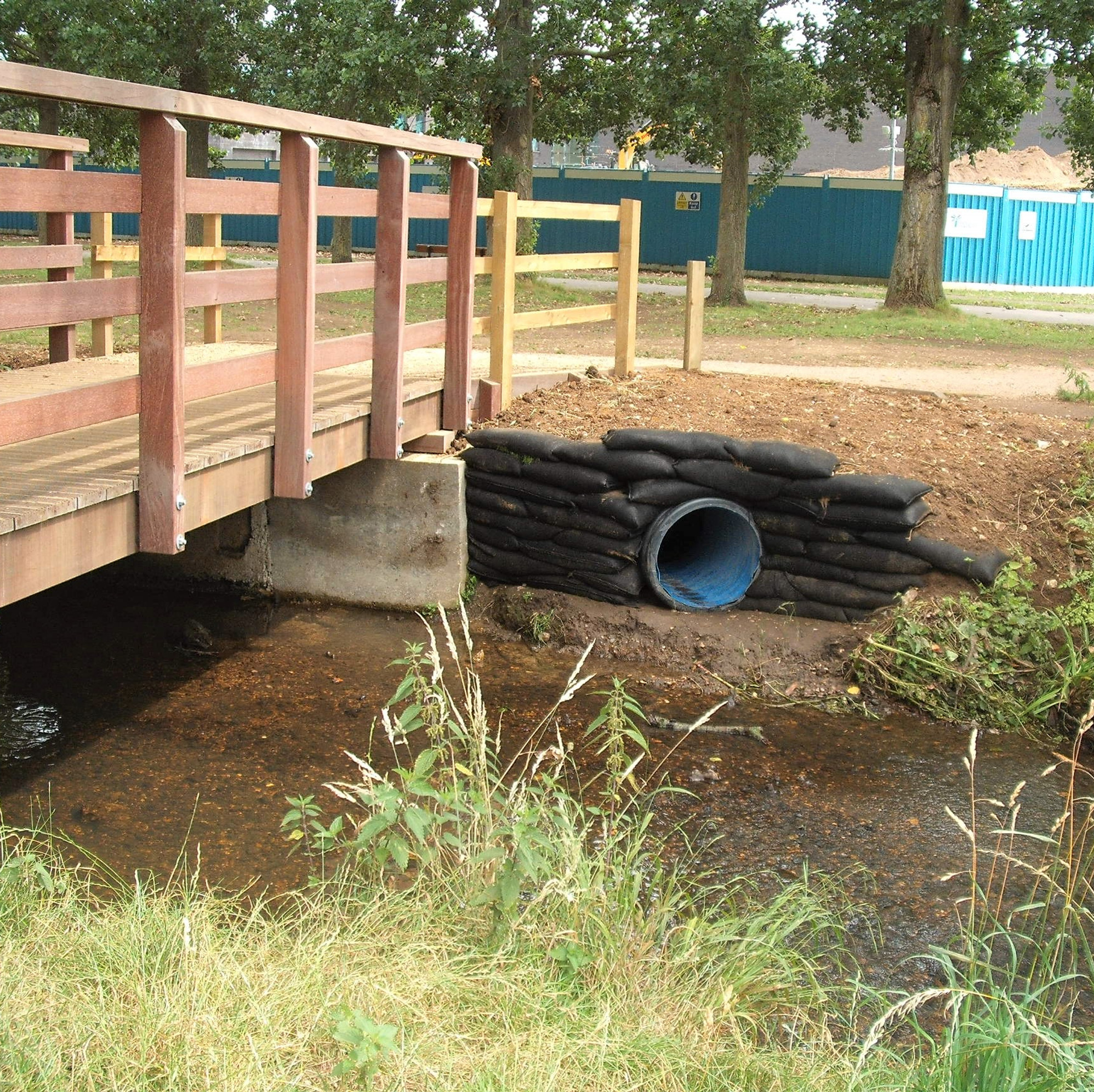 Wetland and Habitat