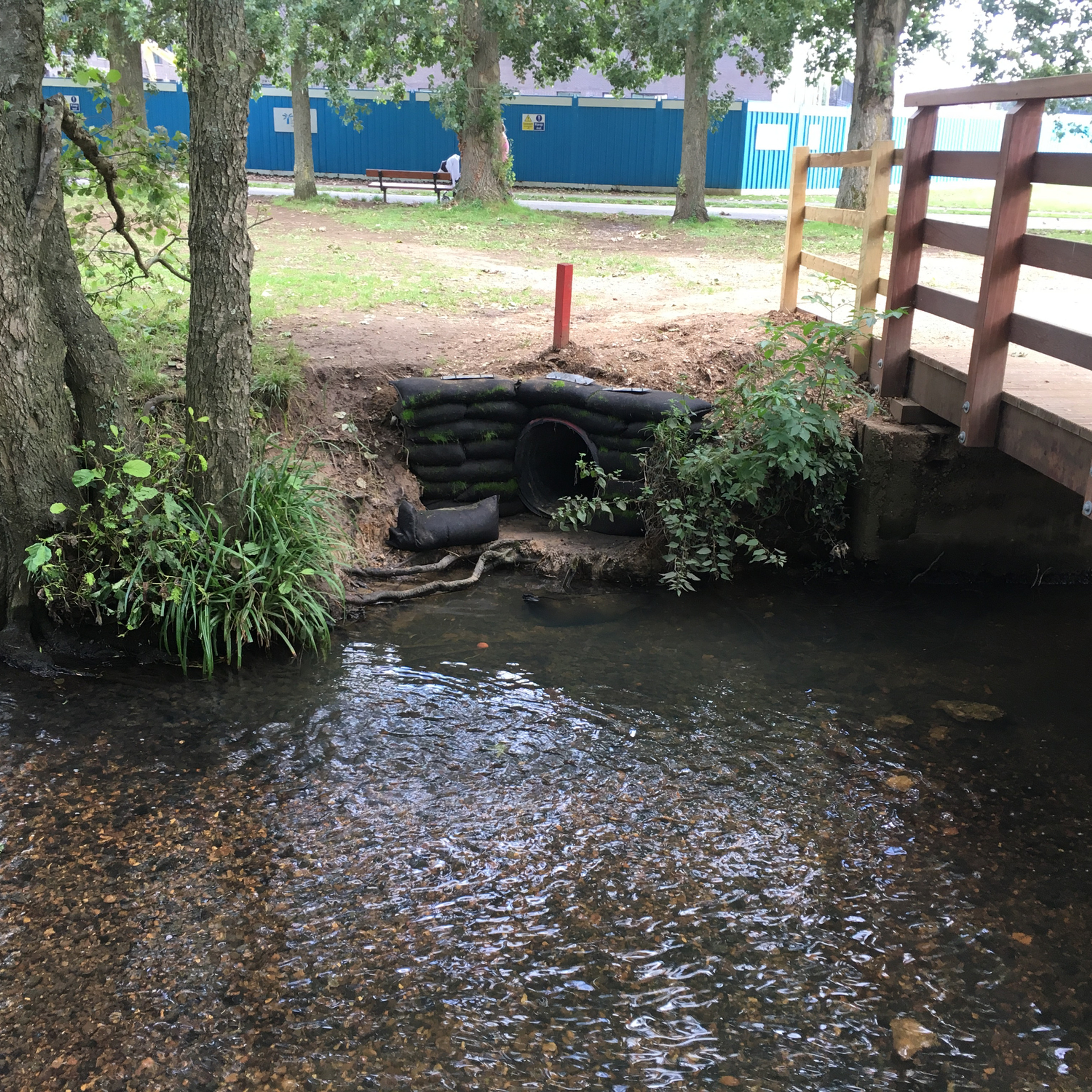 Wetland and Habitat