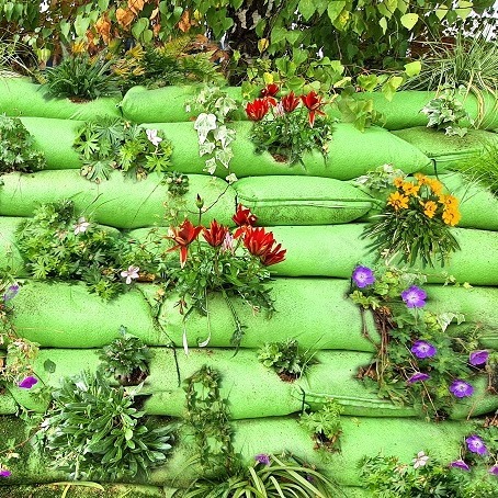 Rootlok_Plug_Planting