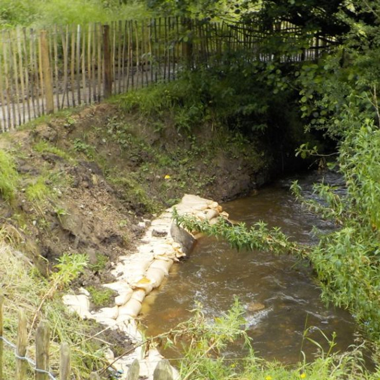 Warm Brook River Bank