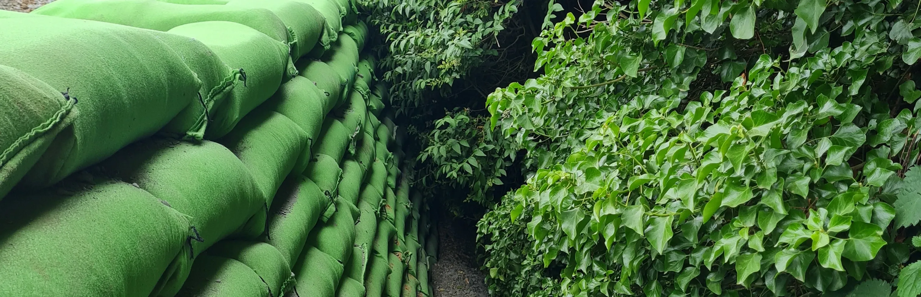GeoGrow goes Green with Rootlok