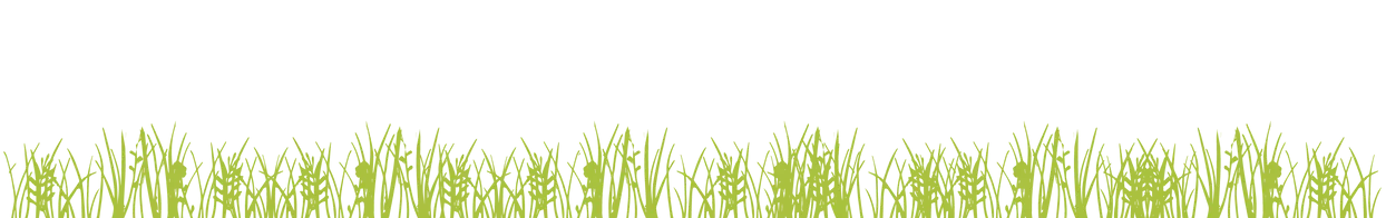 grass