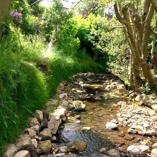 Erosion Control of Stream - Testimonial