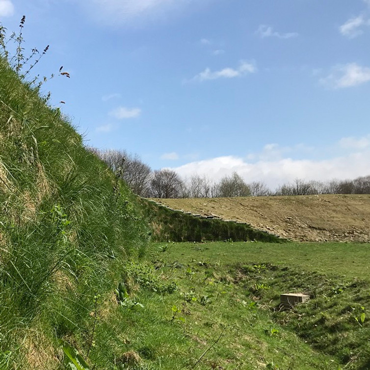 Kings Business Park Retaining Wall