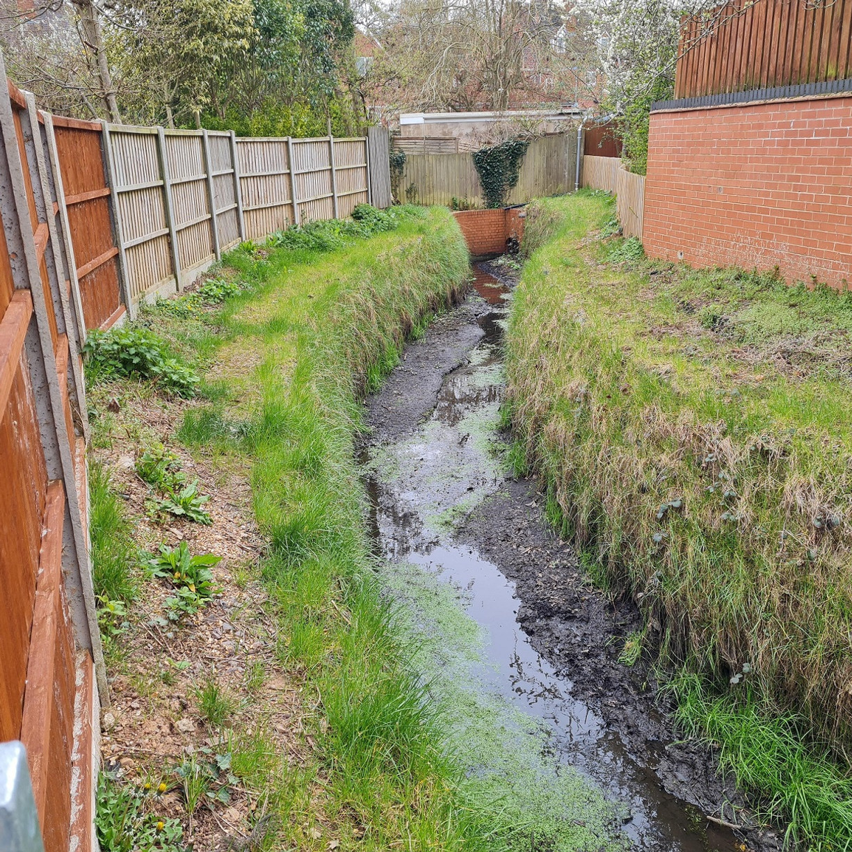 Kenilworth Vegetated