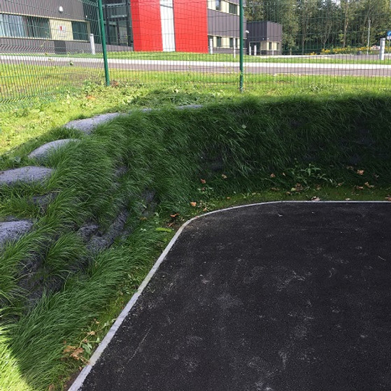 Curved wall vegetated