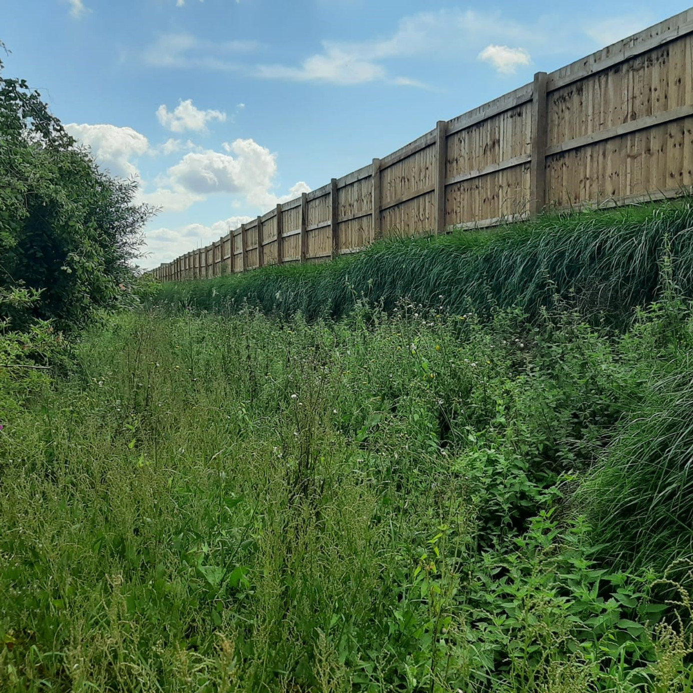 Retaining Walls