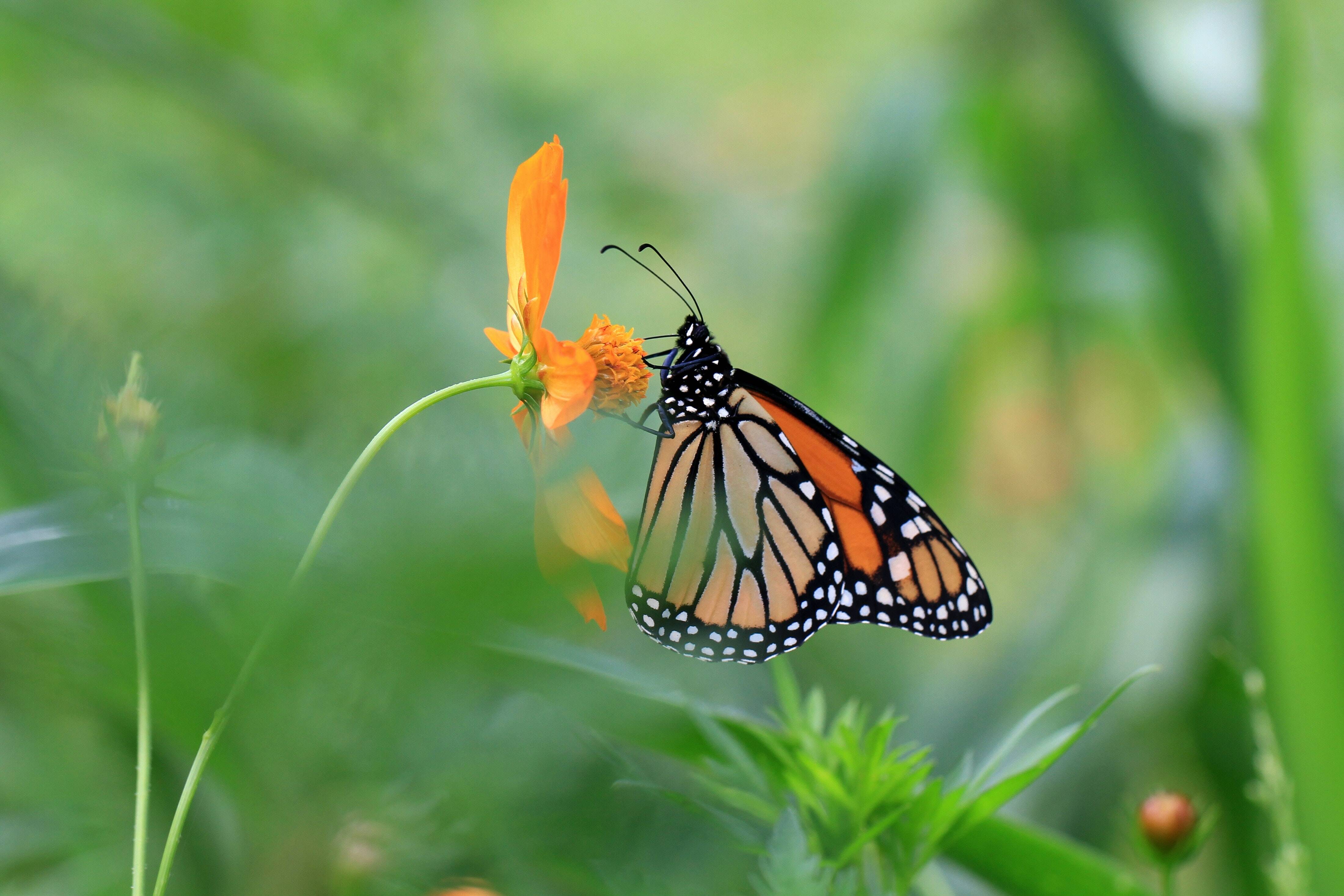 gary-yost-AtJqR1AAkxY-unsplash