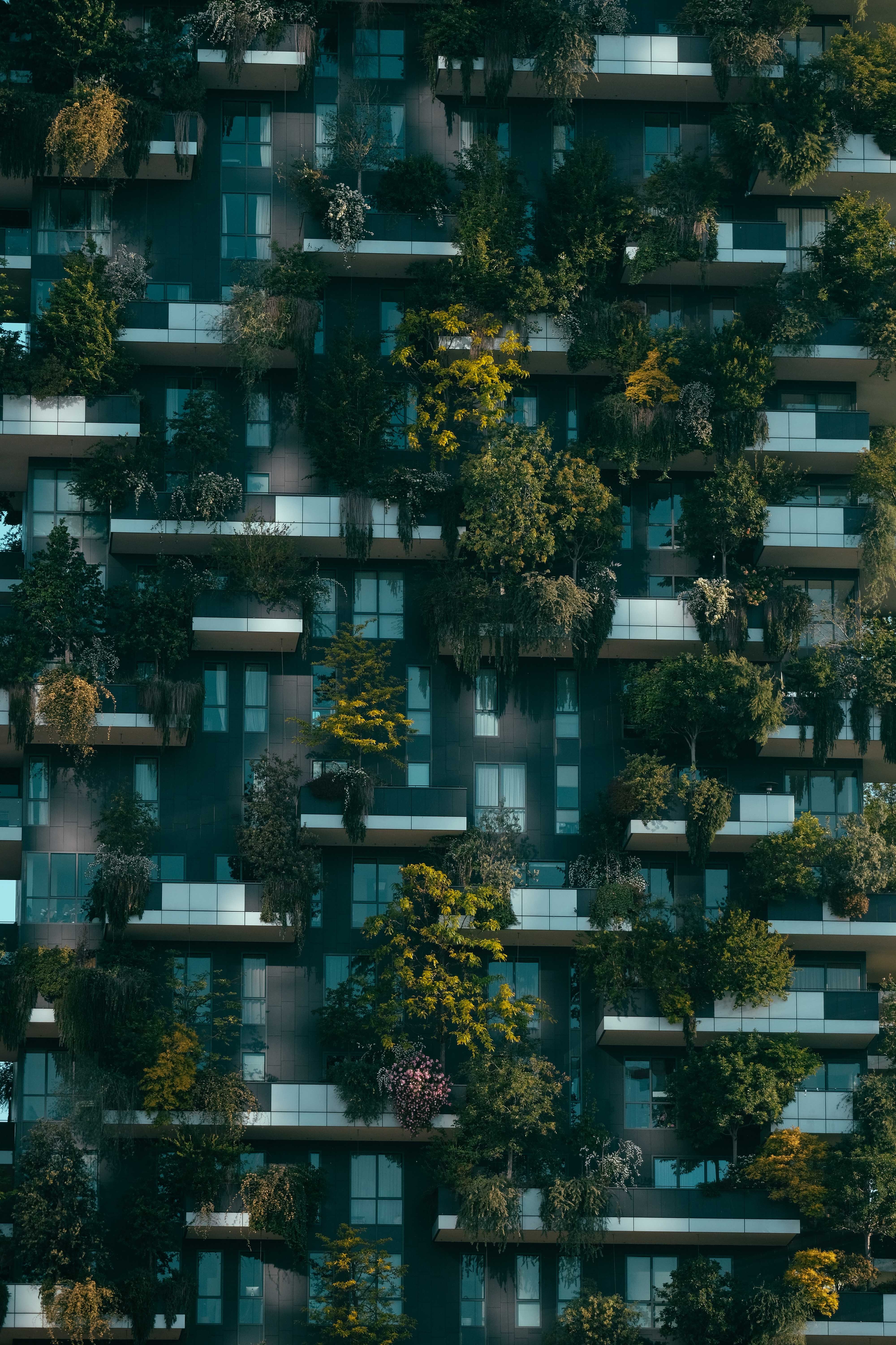 How To Plan A Green Residential Development That Meets All Environmental Legislation