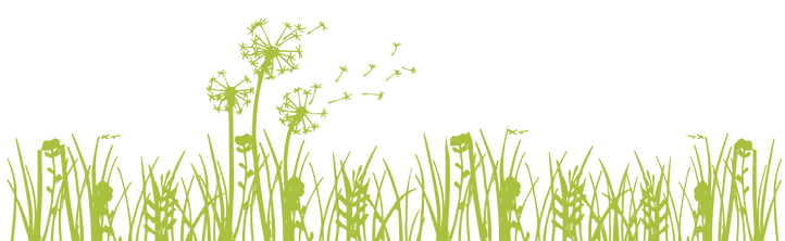 grass