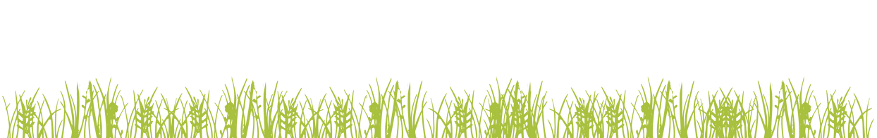 grass